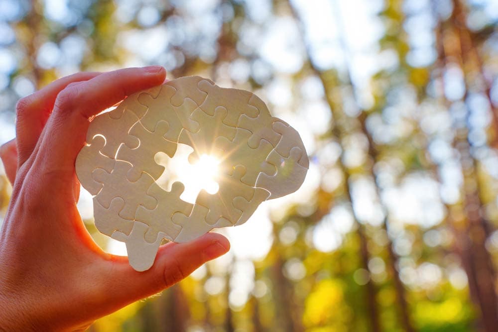 Hand holding a puzzle piece shaped like a brain against sunlight, symbolizing ADHD as a neurological condition and the complexities of brain function.
