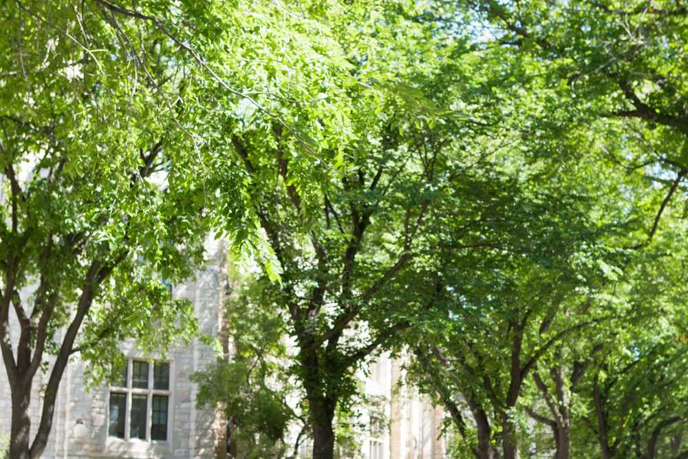 Young adult walking across a university quad carrying a backpack in autumn