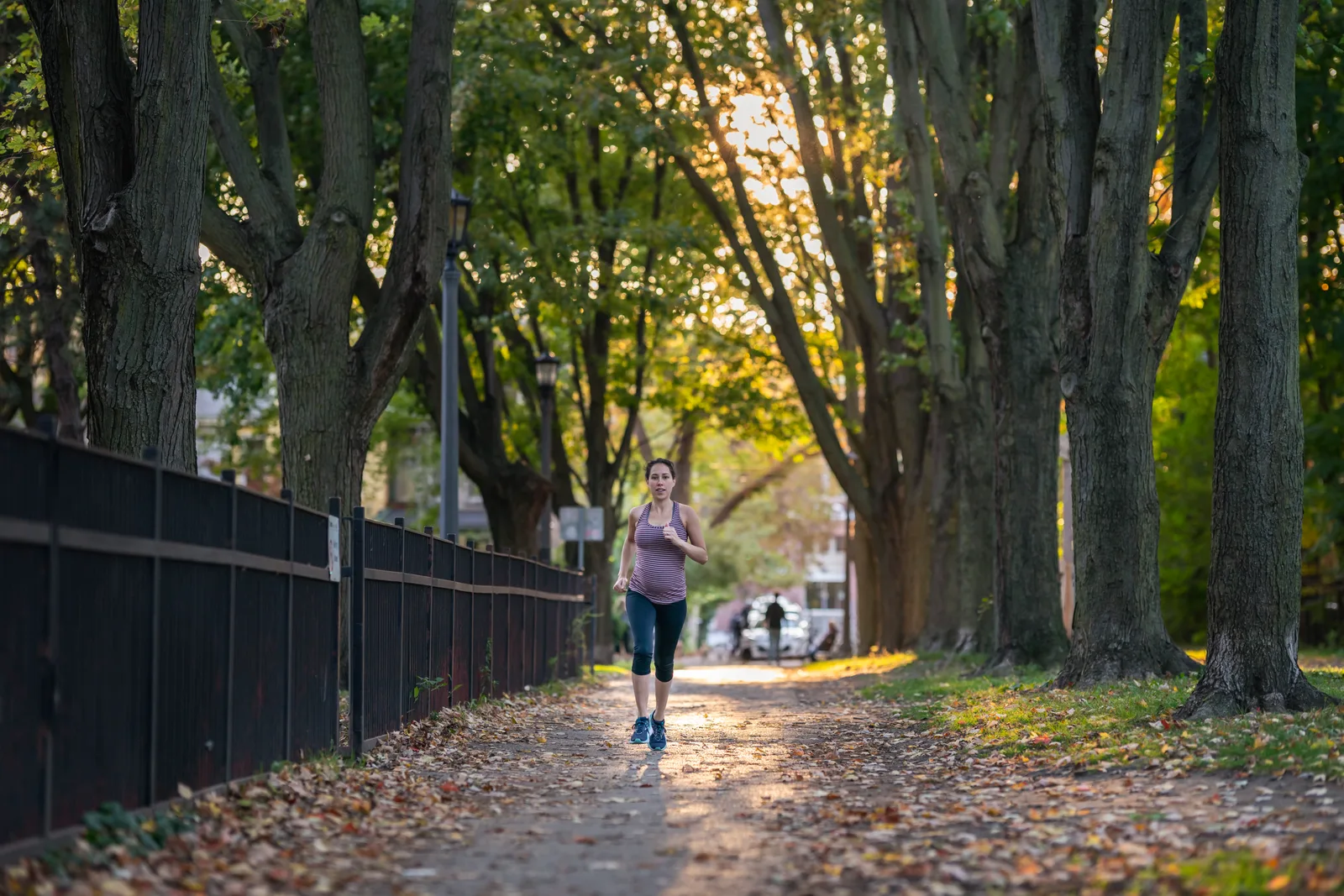 Woman jogging along a tree-lined park path in warm autumn morning light.